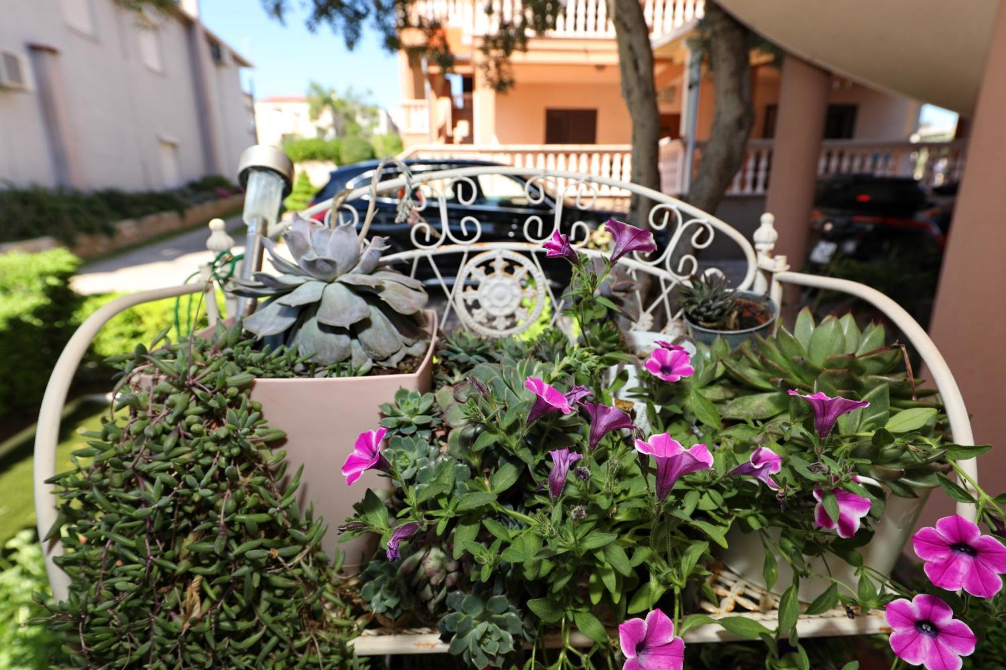 Villa Dalmatino Pakostane Ngoại thất bức ảnh